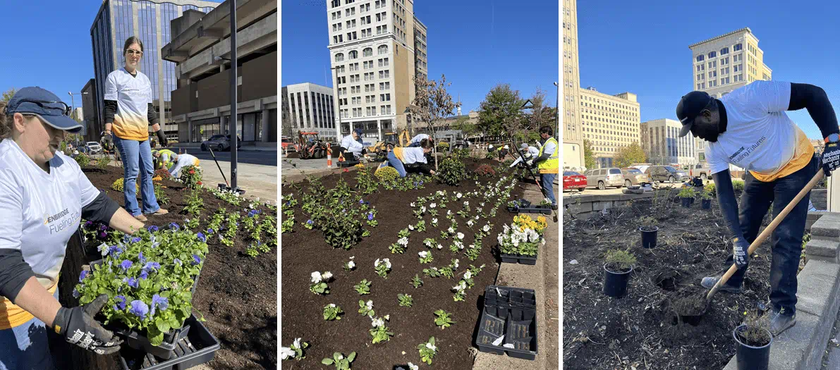 Enbridge employees volunteering in the garden