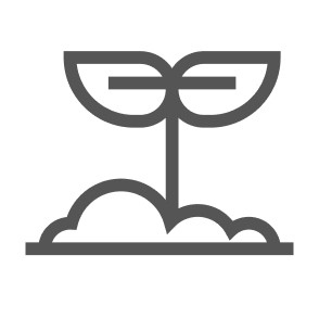 Plant sprout illustration