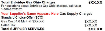 Standard Choice Offer Bill Example