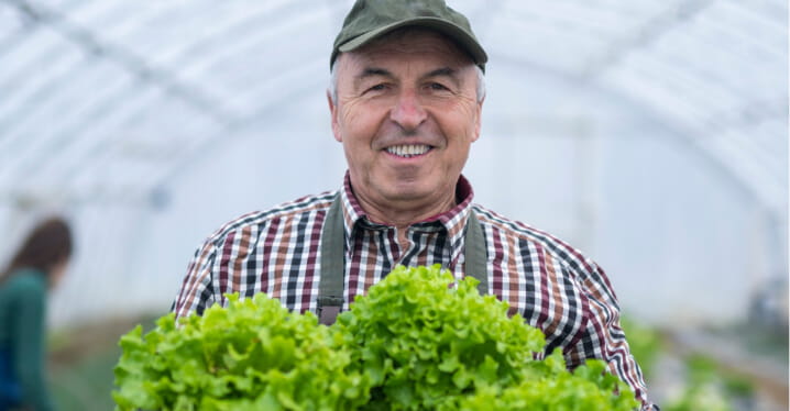 A senior in a checkered shirt and cap holds a black crate filled with fresh green lettuce inside a greenhouse. A second person tends to crops in the background among neat rows of plants.