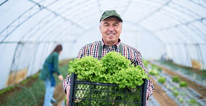 A farmer holding a crate of lettuce.