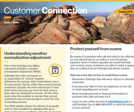 Screenshot of Customer Connection newsletter